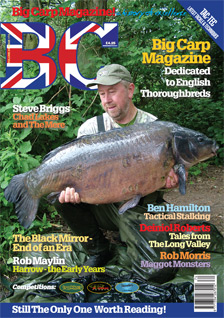 View Volume 29 Issue 174