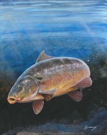 No.5 - 'THE FIGHT' - The 'Carp Watching' Series Of Paintings - 