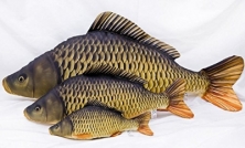 GIANT COMMON CARP PILLOW - 