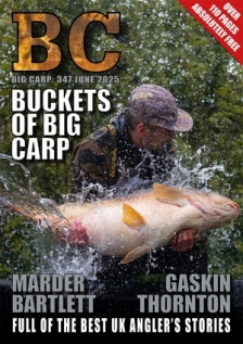 Issue 346, Volume 61